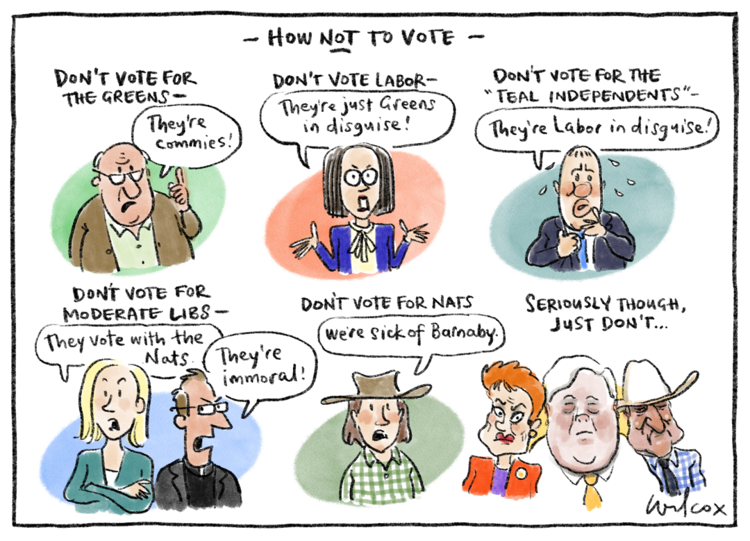 Cartoon called How Not to Vote by Cathy Wilcox