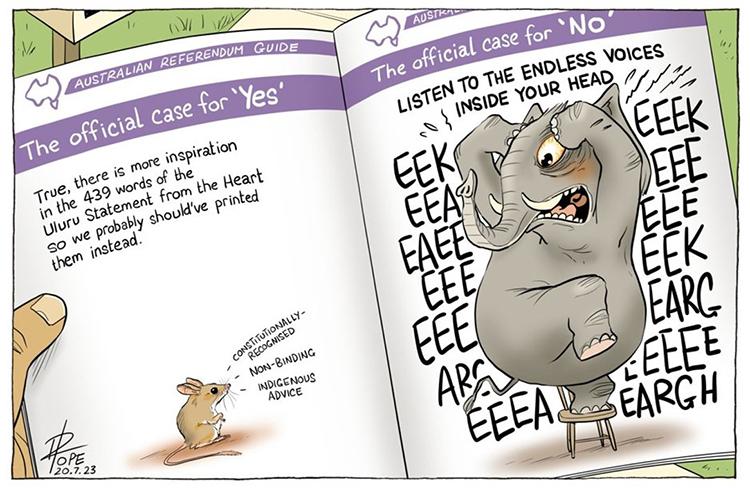A booklet shows a mouse stating the case for a 'yes' vote, and an elephant on a chair in distress for the 'no' vote.