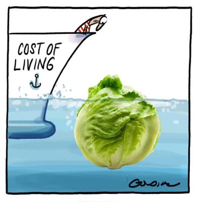 Cartoon called The Cost of Living Iceberg by Matt Golding